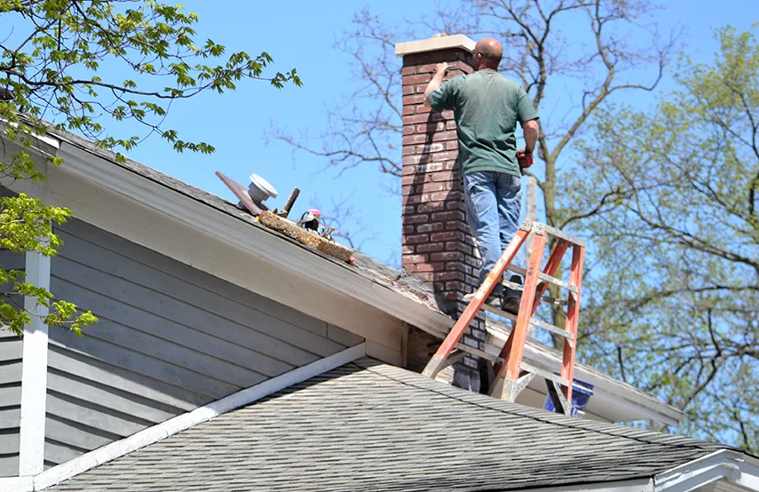 Chimney & Fireplace Inspections Services in Ankeny, IA